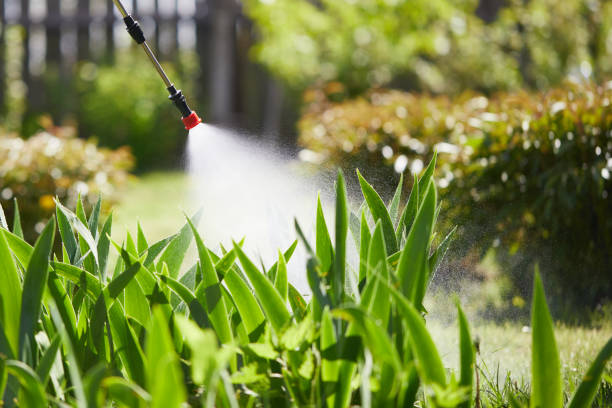 24/7 Emergency Fumigation Services experts in Waller, WA